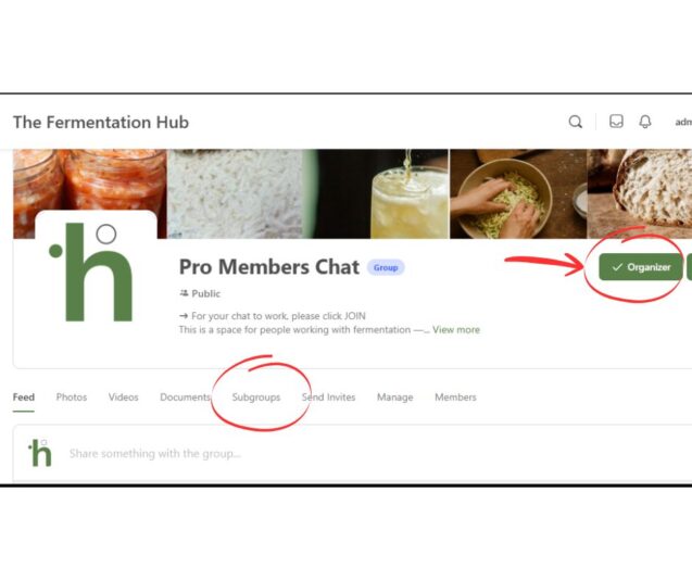 chat space subgroups location