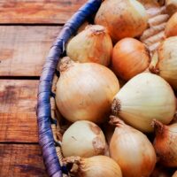 onions sm onions sm